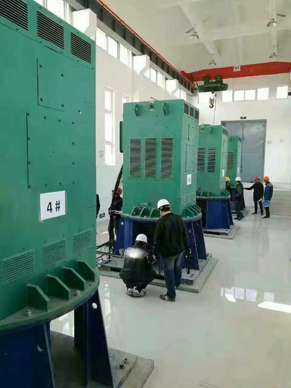 YR5003-6某污水处理厂使用我厂的立式高压电机安装现场