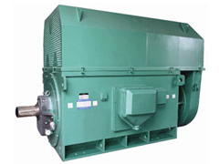 YR5003-6YKK系列高压电机